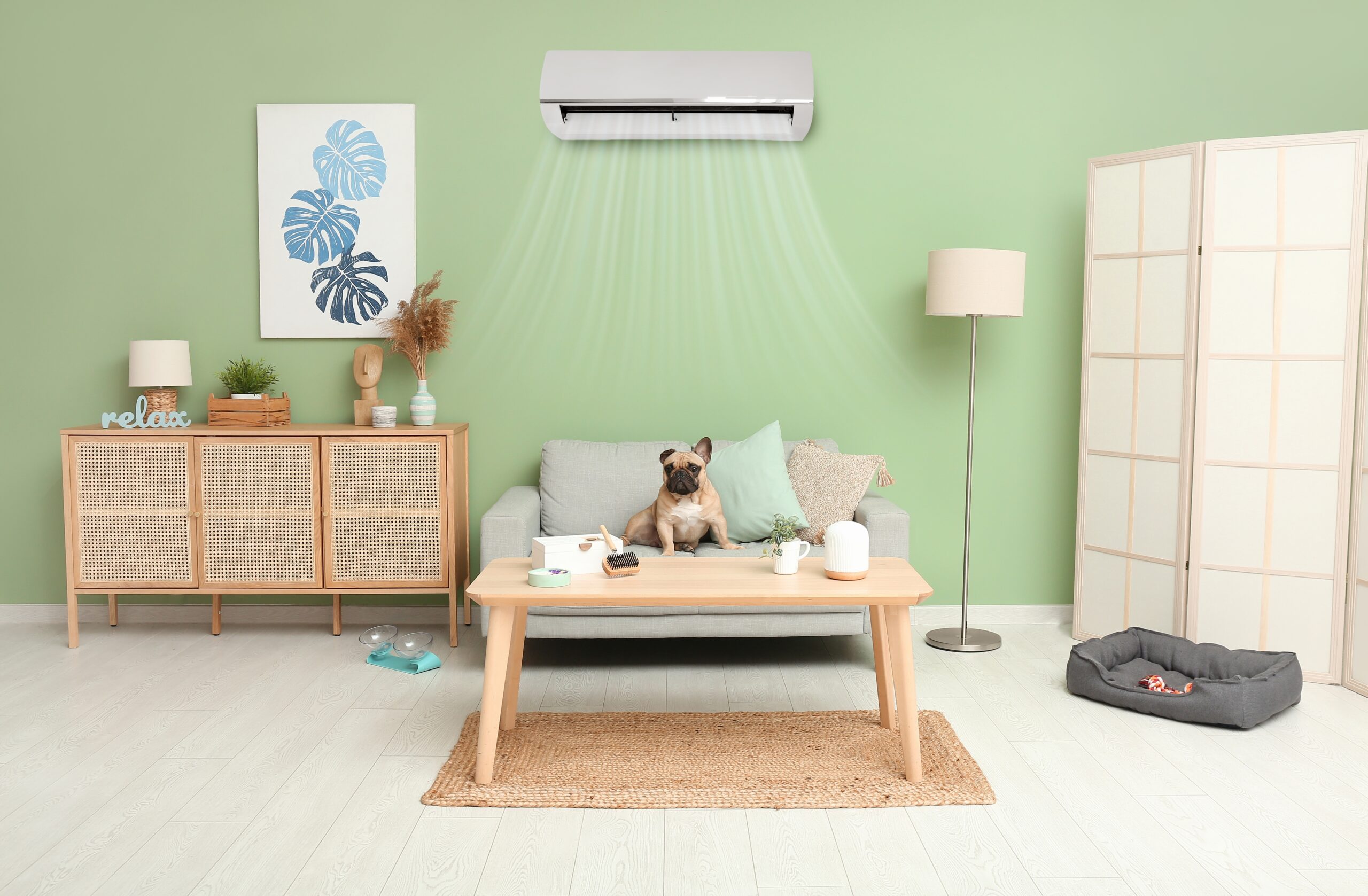 French Bulldog Sitting under a reverse cycle air conditioner